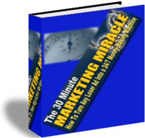 Product picture The 30 Minute Marketing Miracle With FREE Website