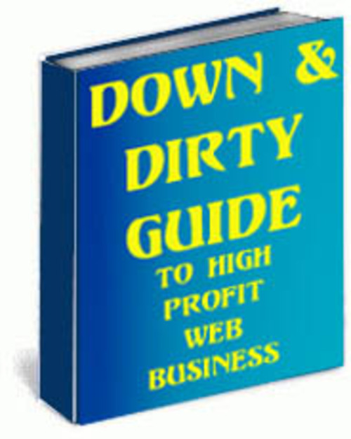 Product picture Down & Dirty Guide to High Profit Web Business